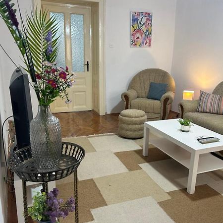 Nf'S Home Lovely Apartment In Heart Of Sarajevo Esterno foto