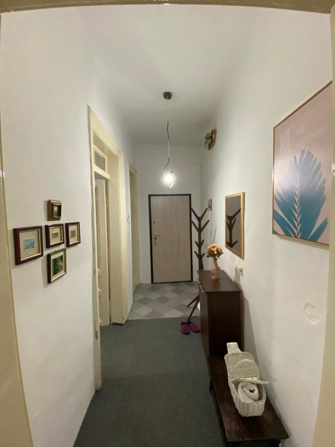 Nf'S Home Lovely Apartment In Heart Of Sarajevo Esterno foto