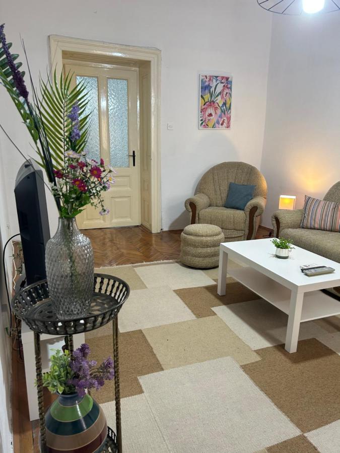 Nf'S Home Lovely Apartment In Heart Of Sarajevo Esterno foto
