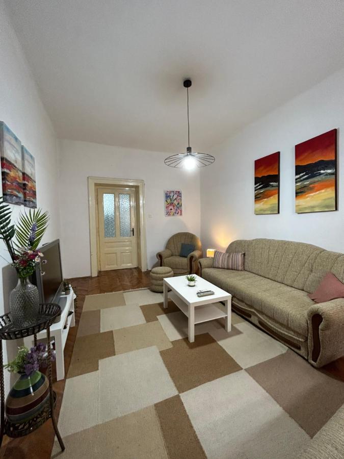 Nf'S Home Lovely Apartment In Heart Of Sarajevo Esterno foto